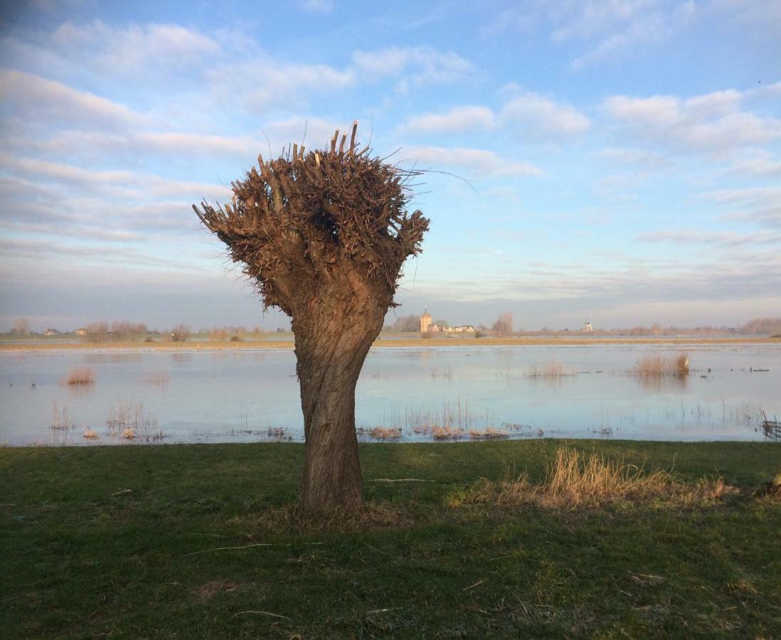 Unique Place On The River Waal Heerewaarden Bagian luar foto